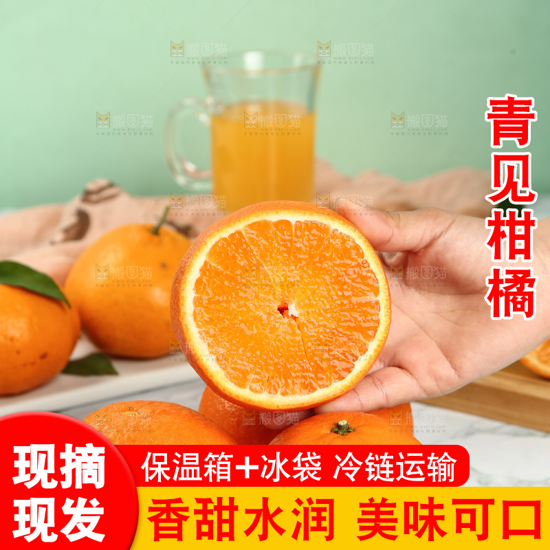 浅底上的青见