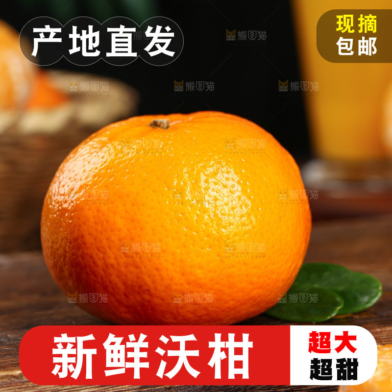 深底上的沃柑
