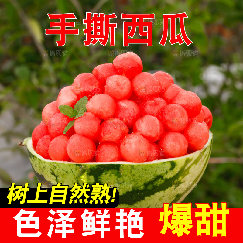 手里拿着红瓤西瓜