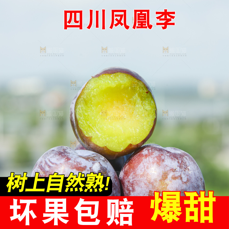 草地上放着五月脆李