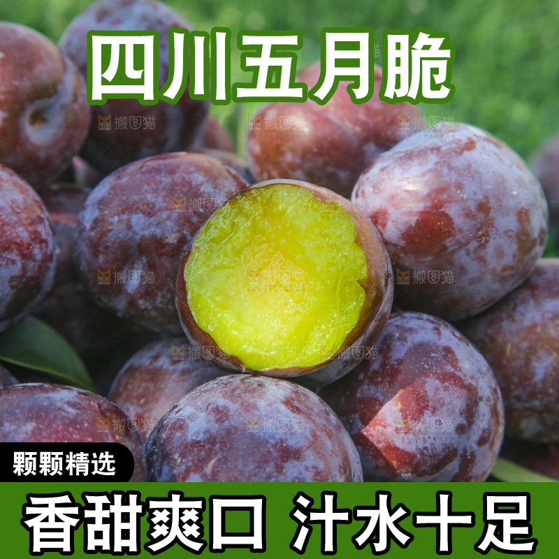 草地上放着五月脆李