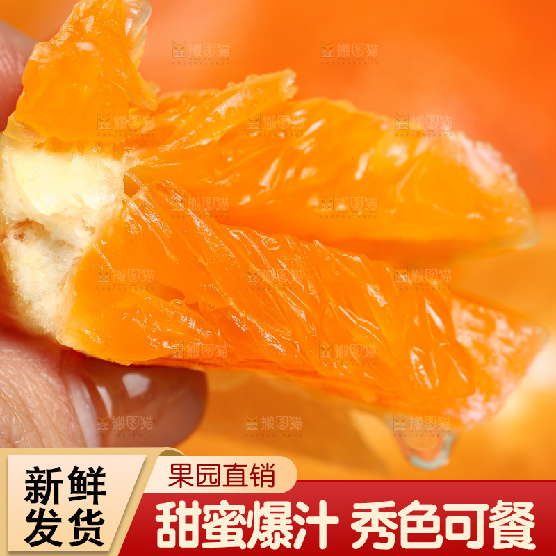 浅底上的青见