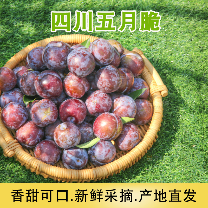 草地上放着五月脆李