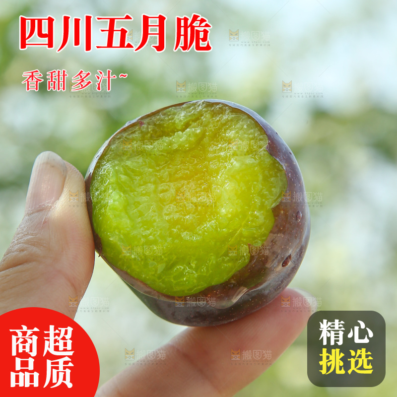 手里拿着五月脆李