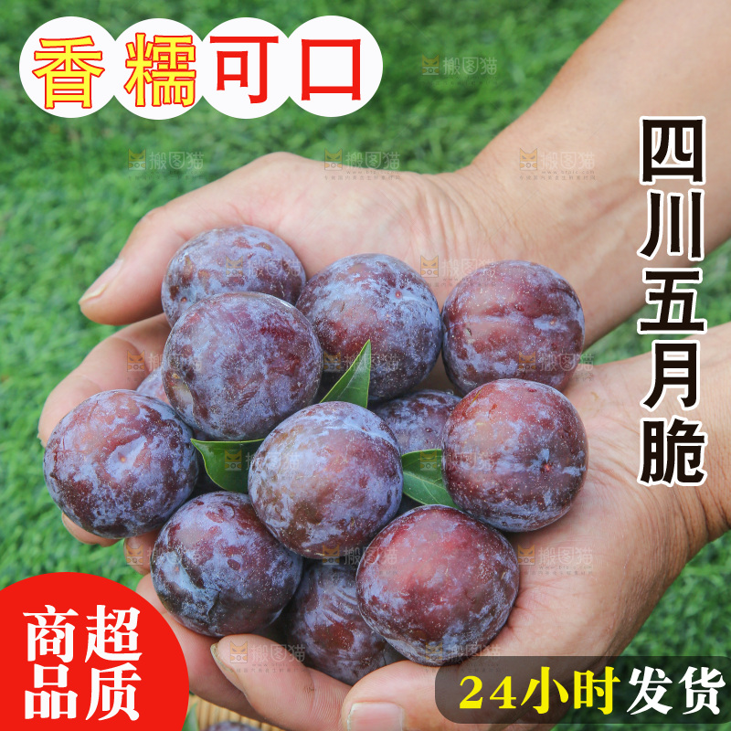 手里拿着五月脆李