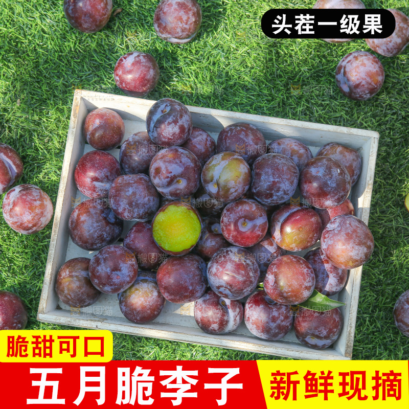 草地上放着五月脆李