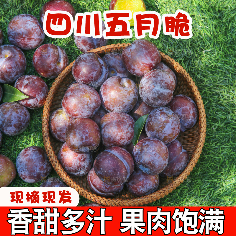 草地上放着五月脆李