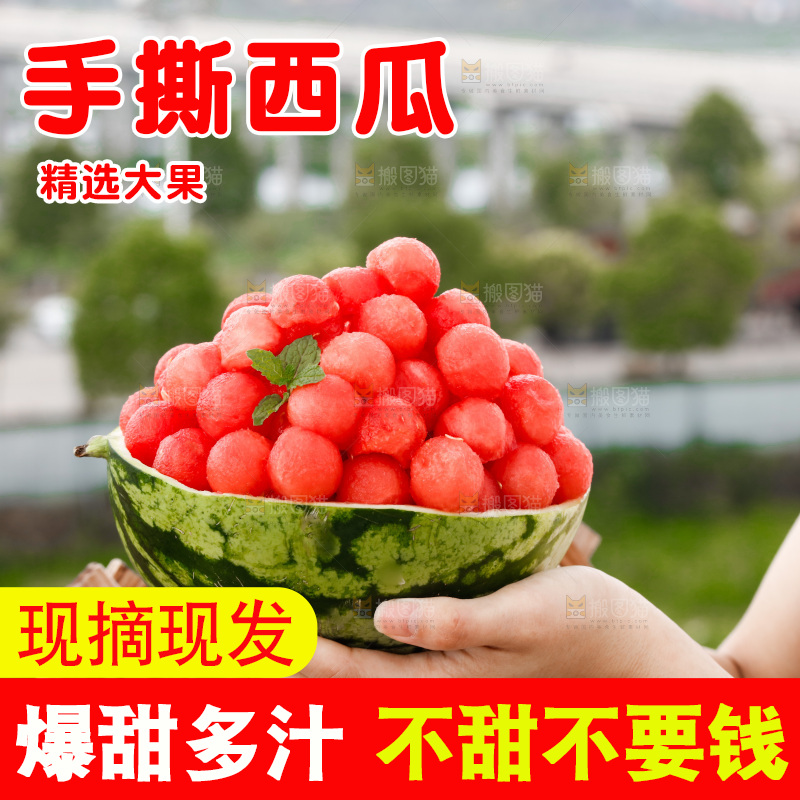 手里拿着红瓤西瓜