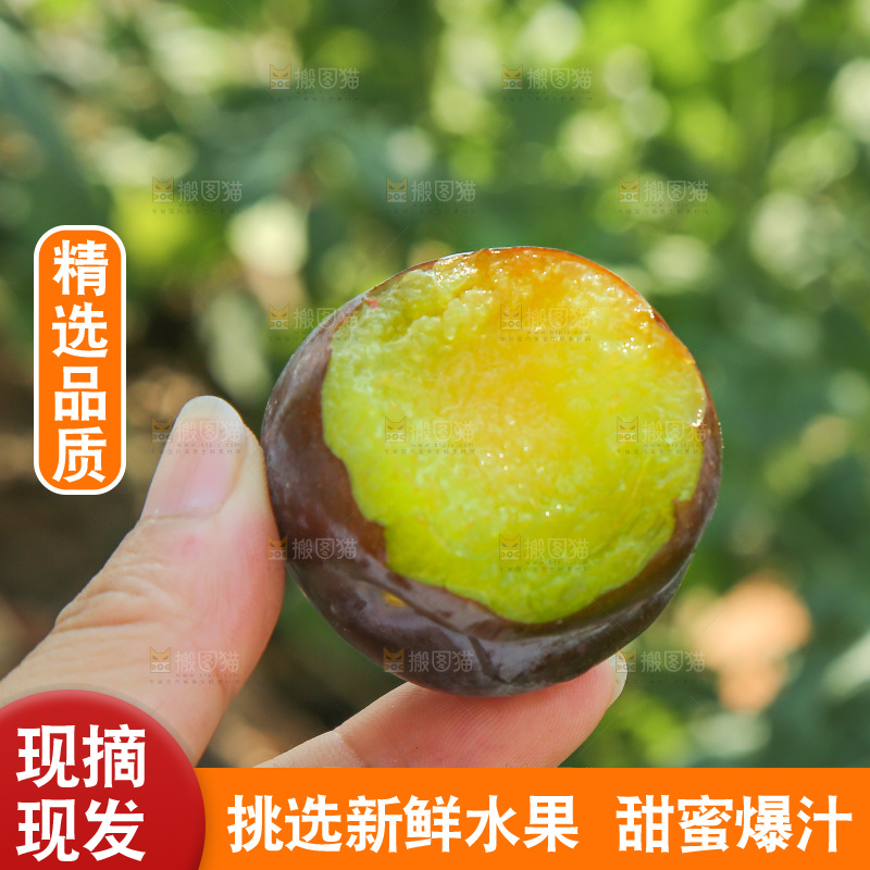 手里拿着五月脆李
