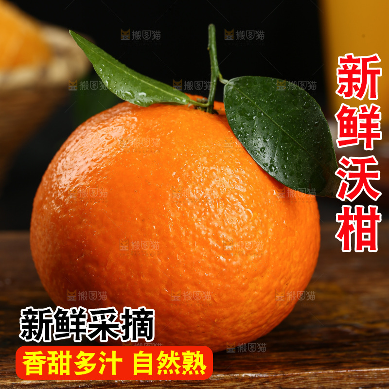 深底上的沃柑