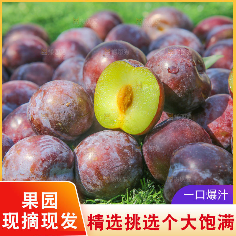 草地上放着五月脆李