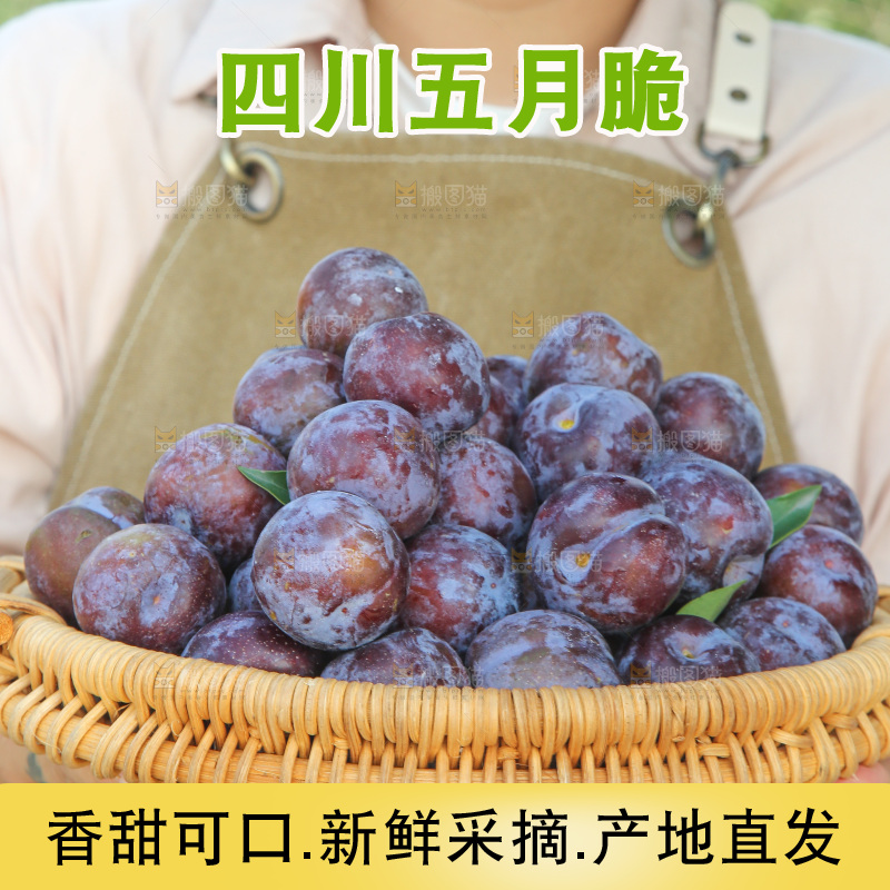 手里拿着五月脆李