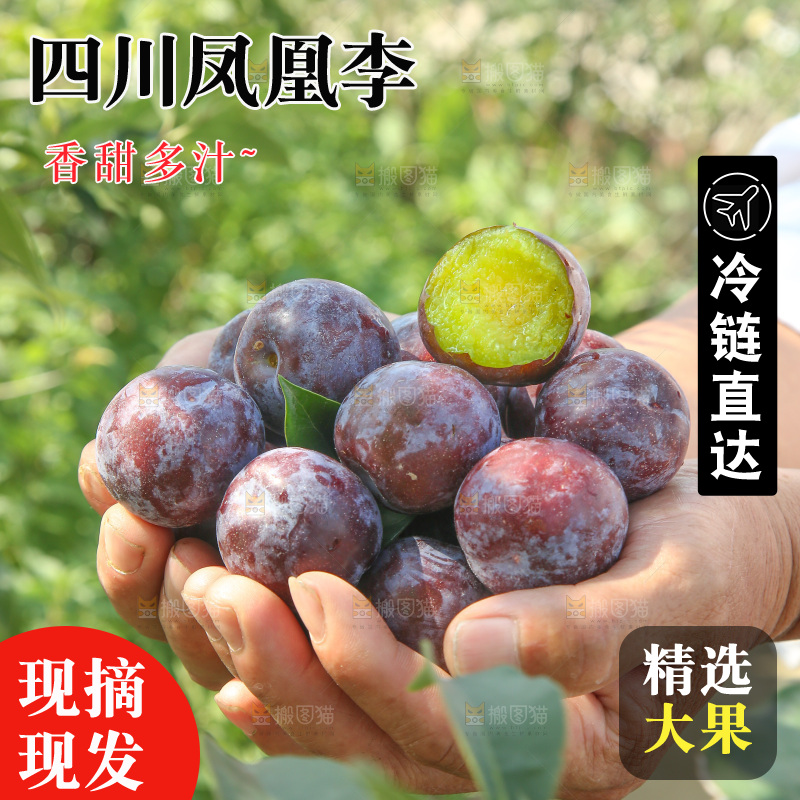 手里拿着五月脆李