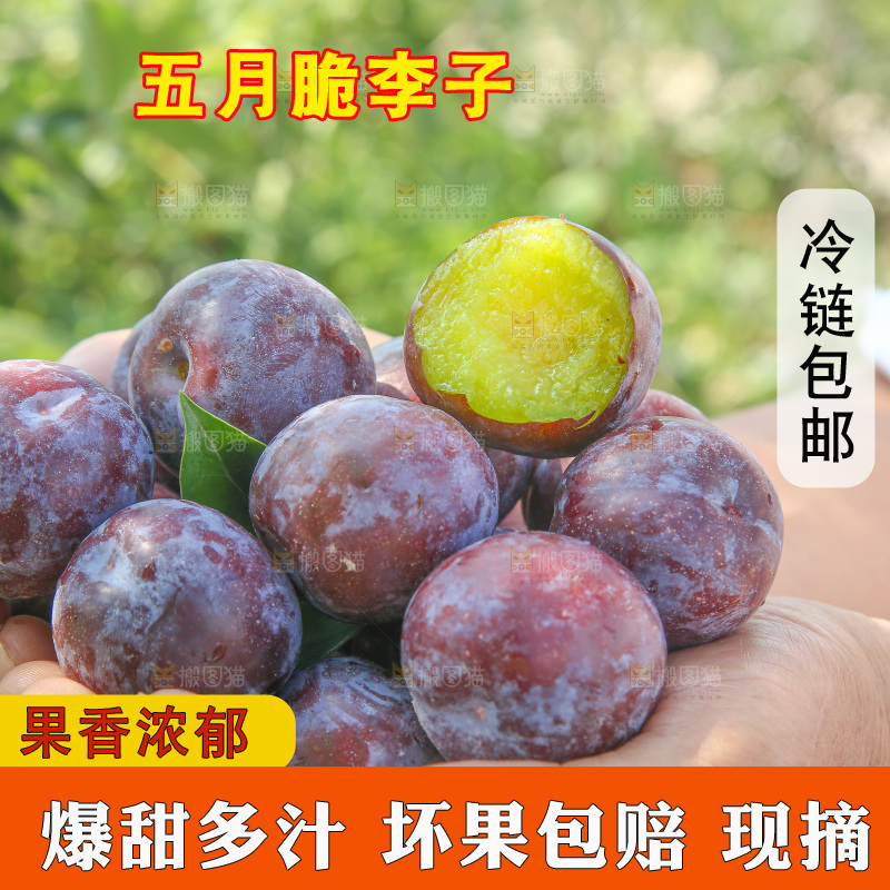 手里拿着五月脆李