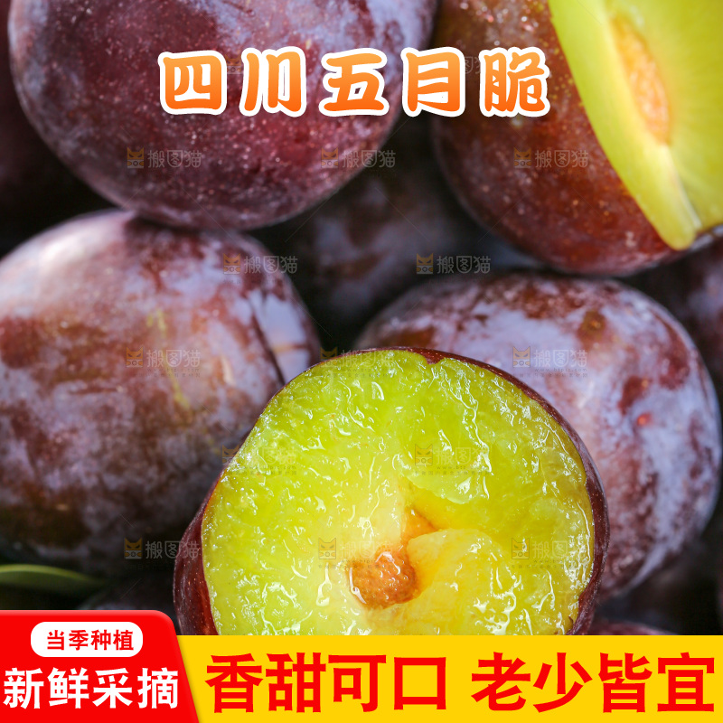 木底上的五月脆