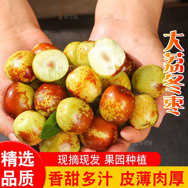 深底上的冬枣