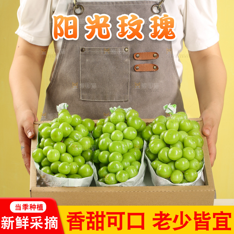 深底上的一箱阳光玫瑰