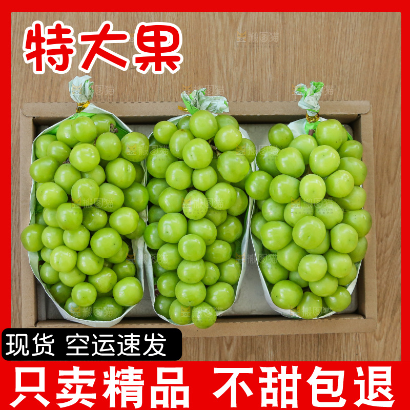 深底上的一箱阳光玫瑰