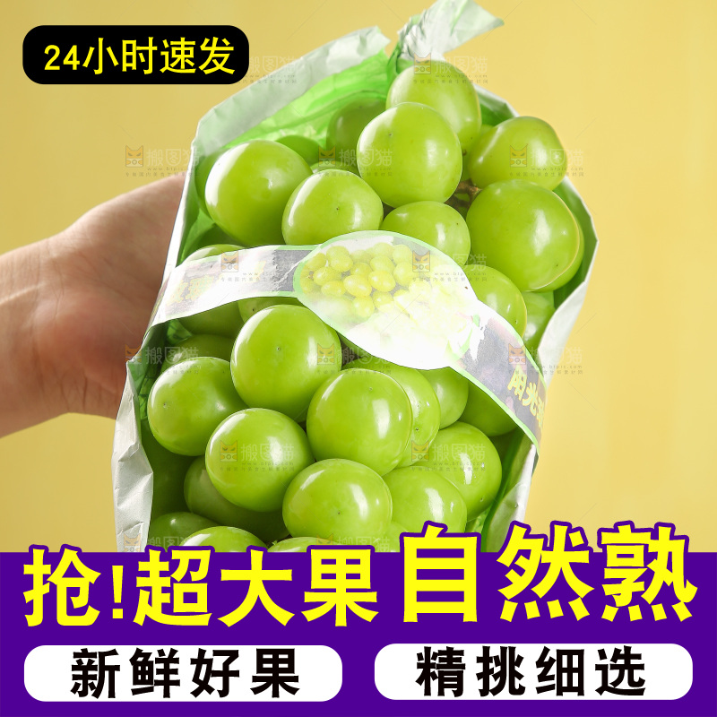 手里拿着阳光玫瑰