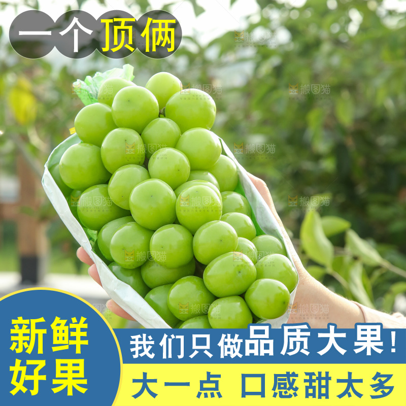 手里拿着阳光玫瑰