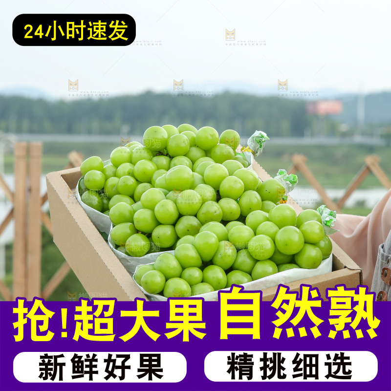 手里拿着一箱阳光玫瑰