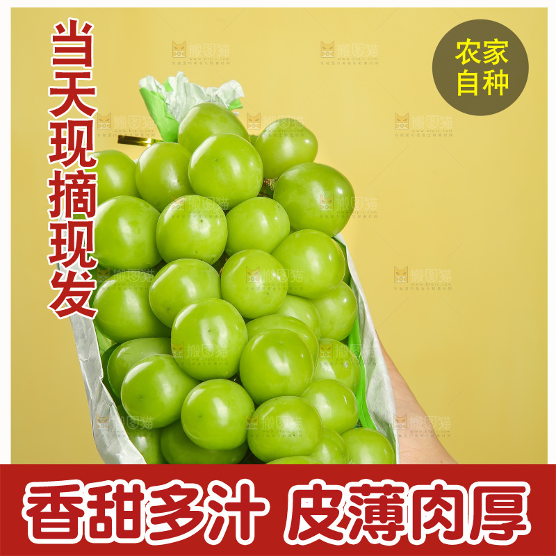 手里拿着阳光玫瑰