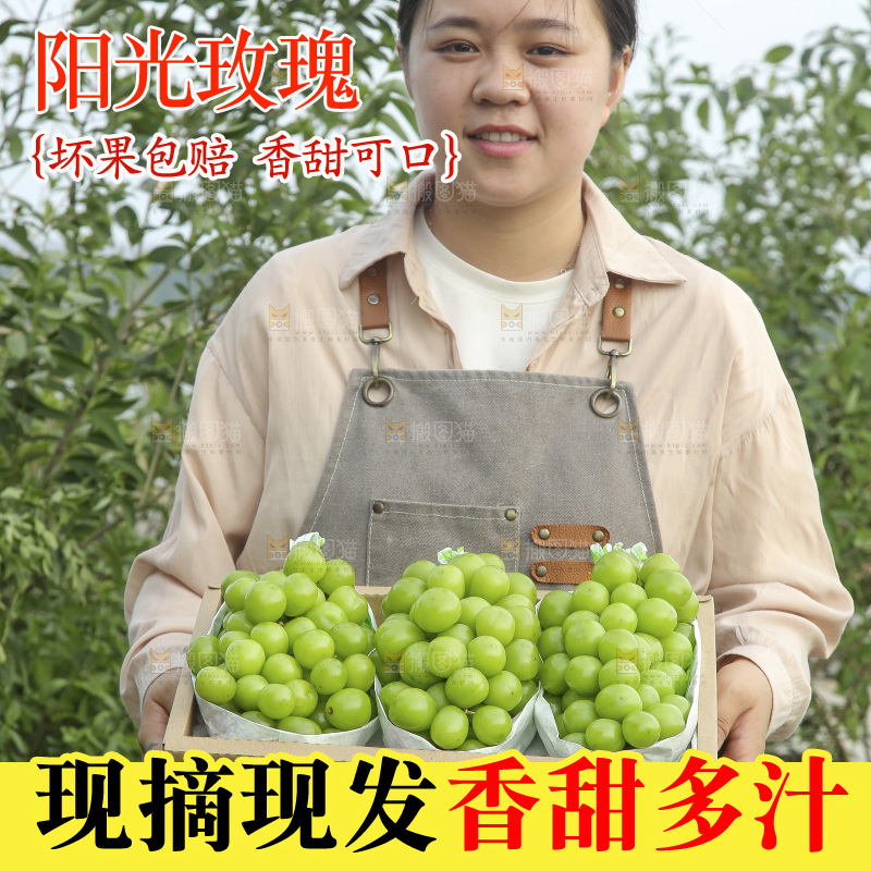 阳光玫瑰青提主图