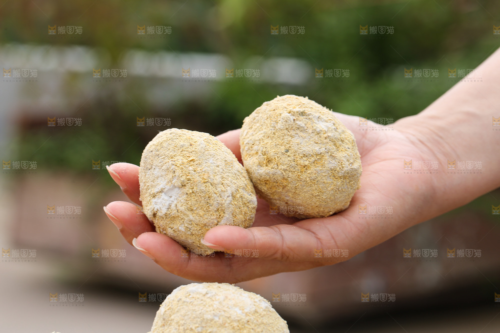 手里拿着变蛋