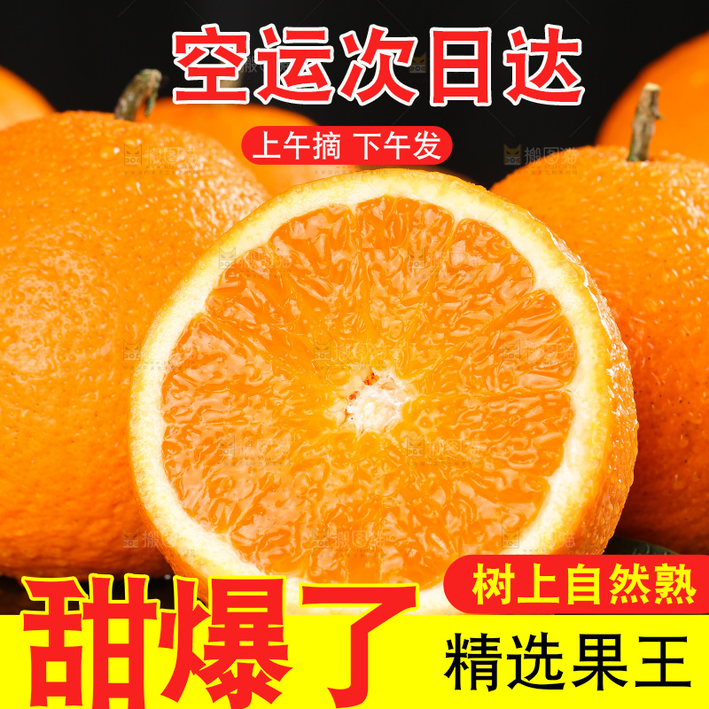 深底上的青见柑橘