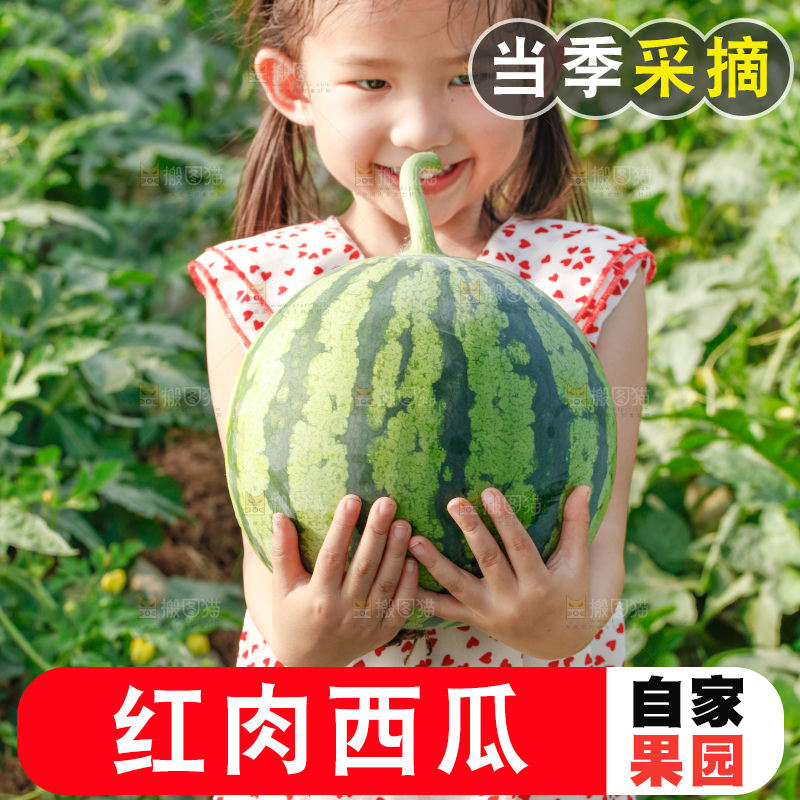 手里拿着新鲜西瓜