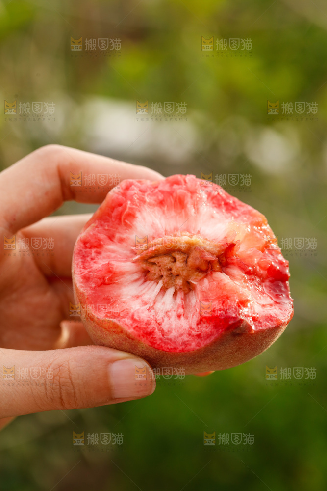 手里拿着血桃