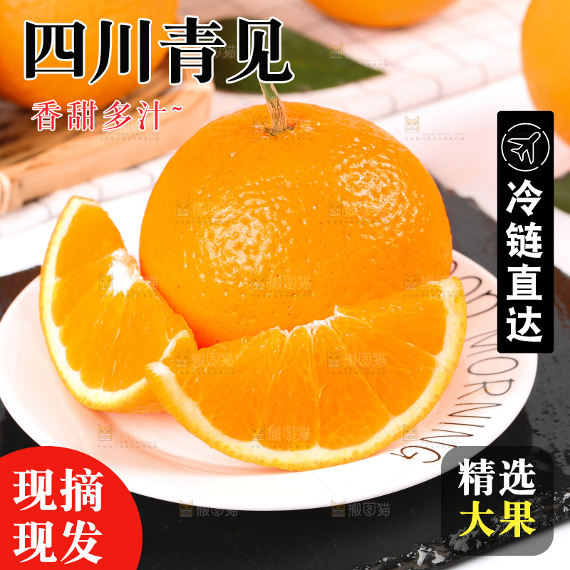 浅底上的青见