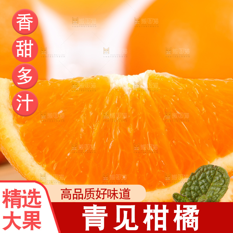 浅底上的青见