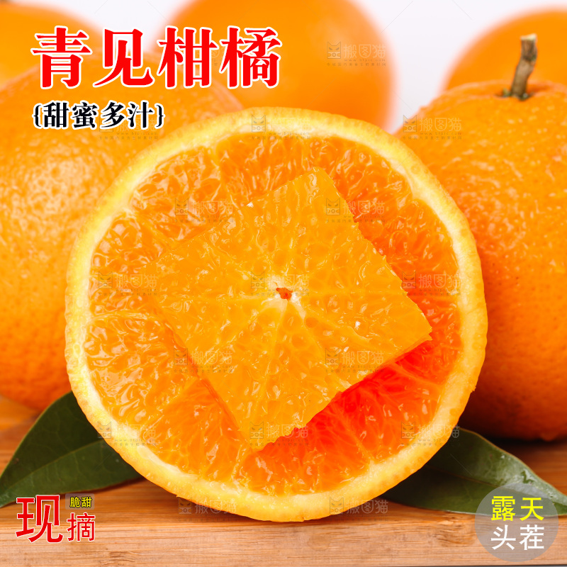 浅底上的青见