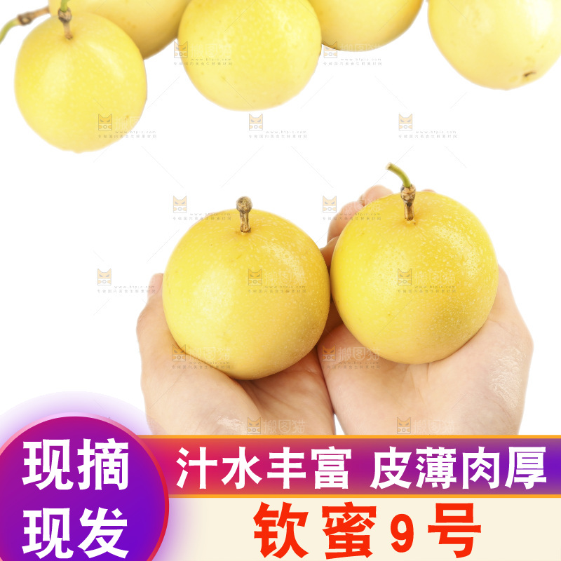 白底上的黄金百香果