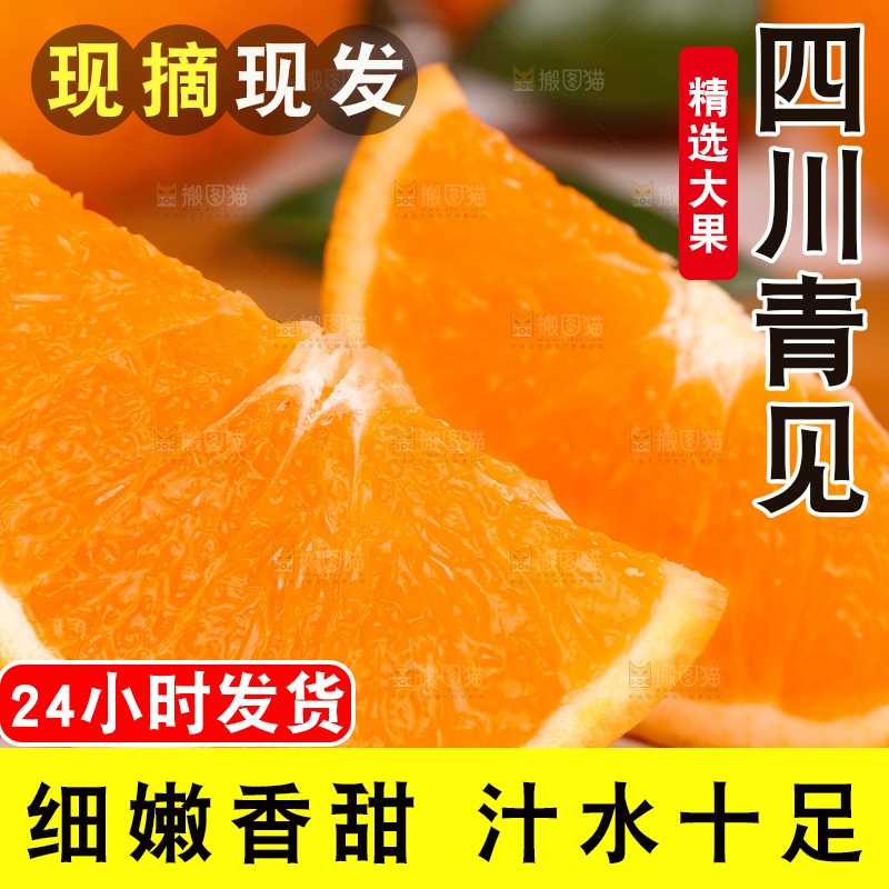 浅底上的青见
