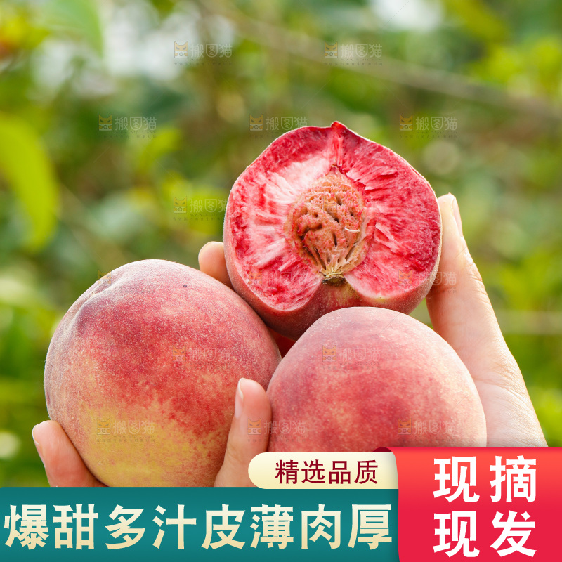 手里拿着血桃