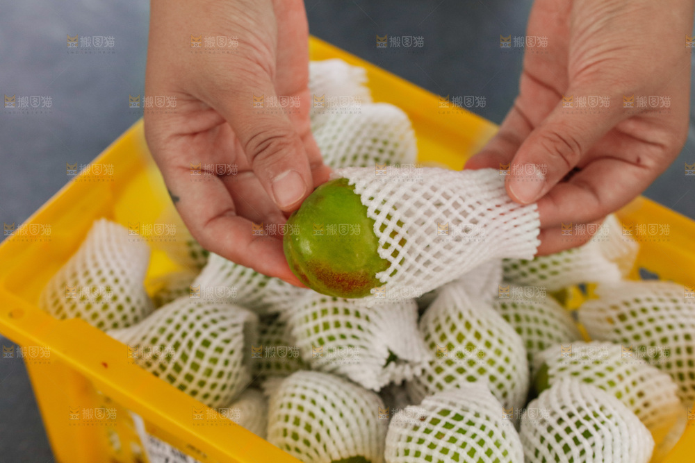 深底上的大梨杏