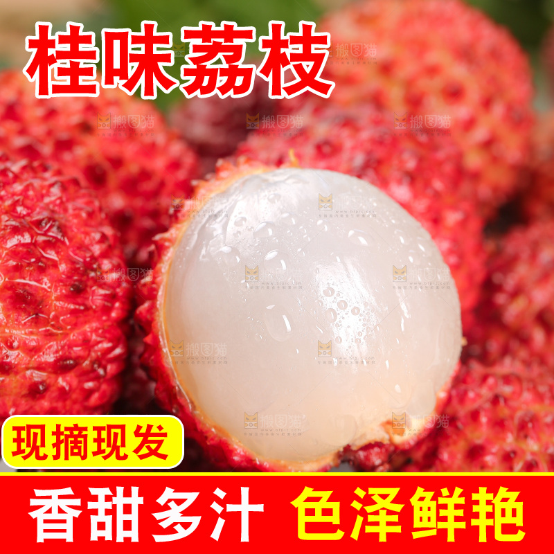浅底上的桂味荔枝