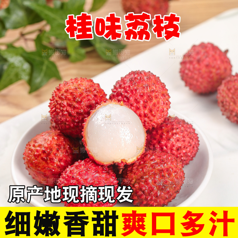 浅底上的桂味荔枝