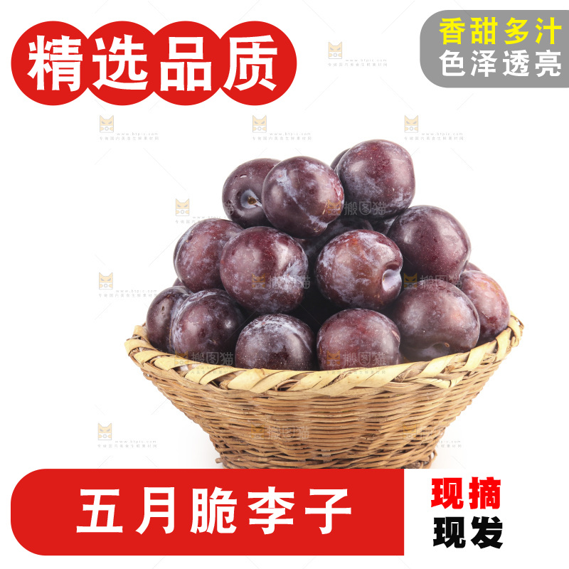 白底上的五月脆李子