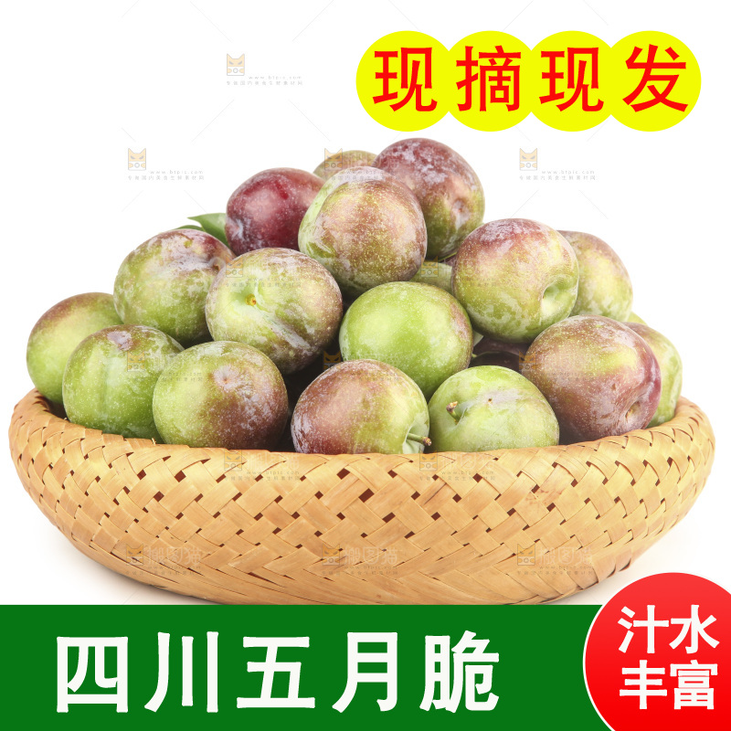 白底上的五月脆