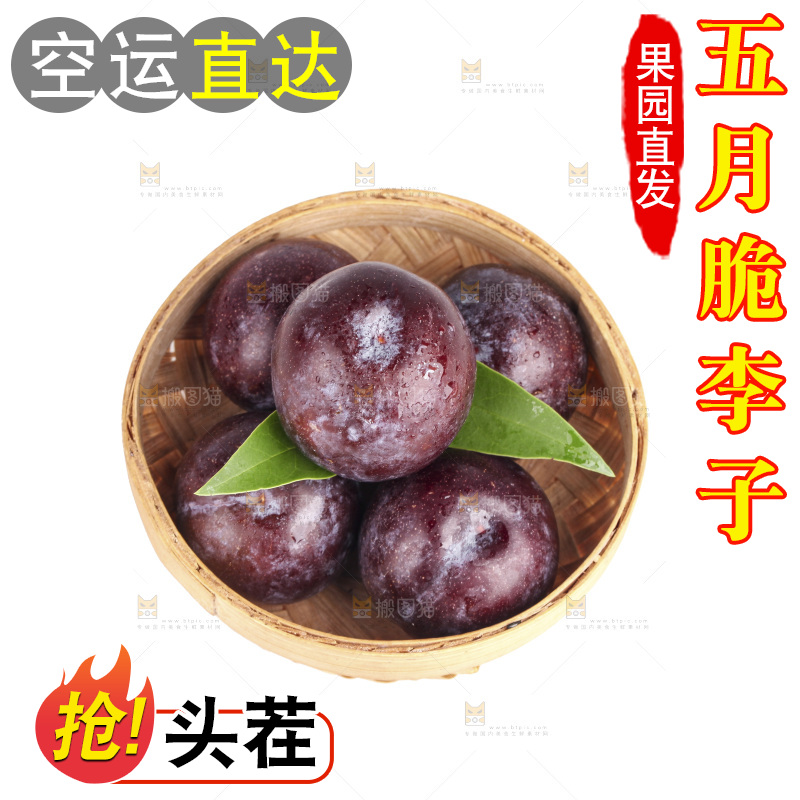 白底上的五月脆李子