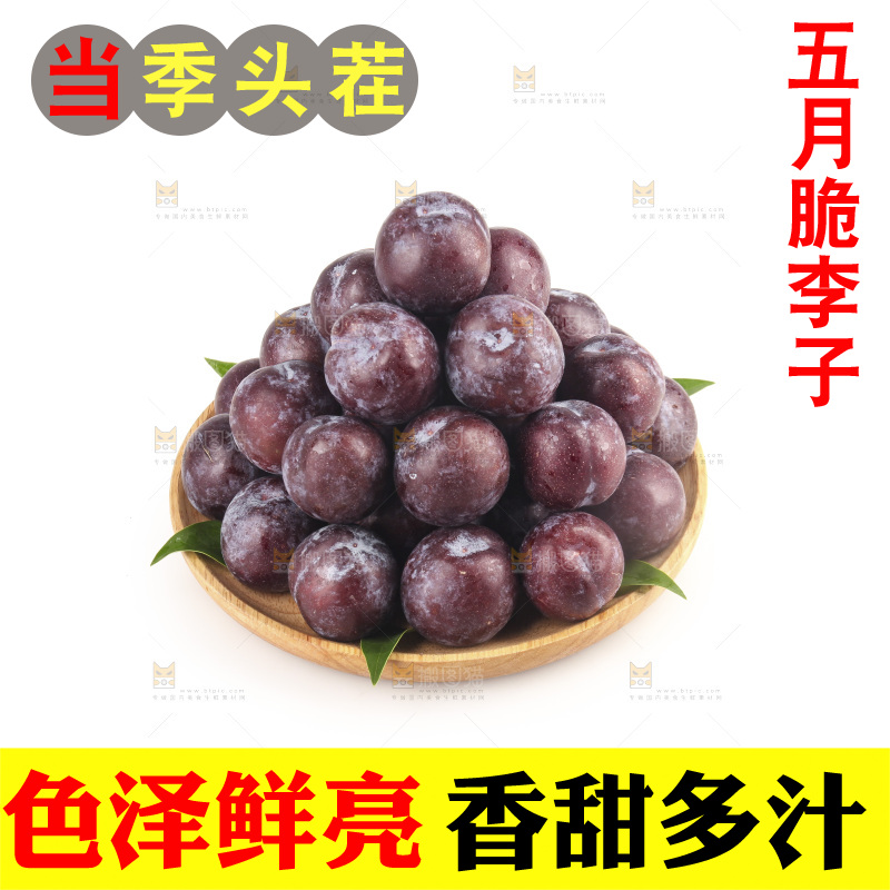 白底上的五月脆李子