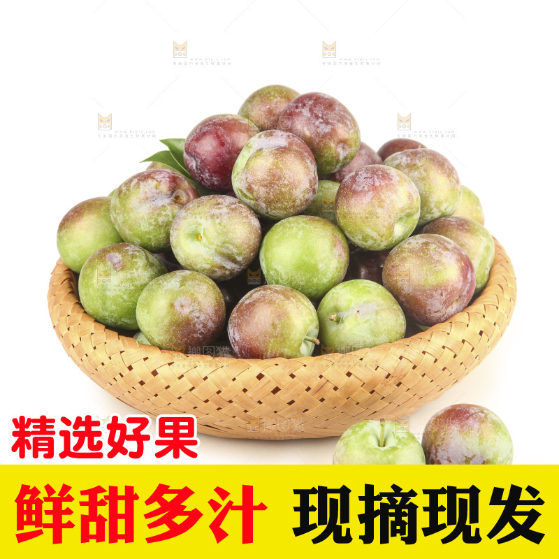 白底上的五月脆