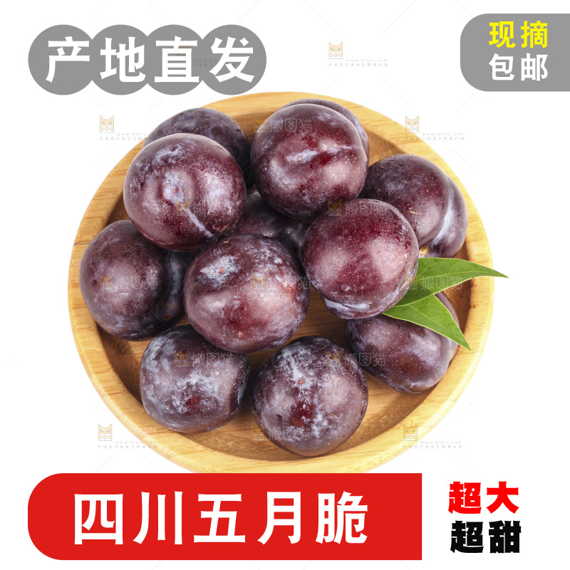 白底上的五月脆李子