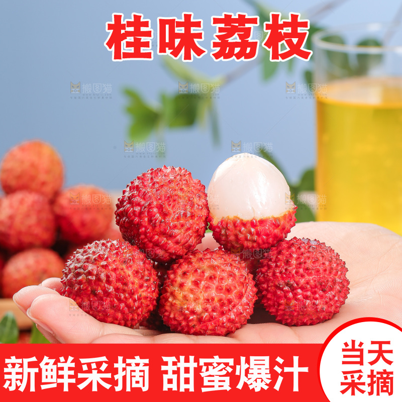 浅底上的桂味荔枝