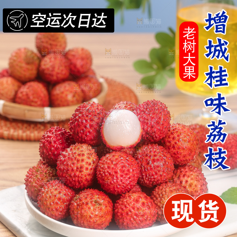 浅底上的桂味荔枝