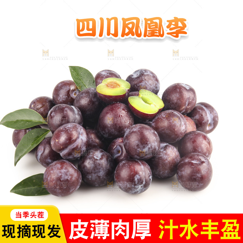 白底上的五月脆李子