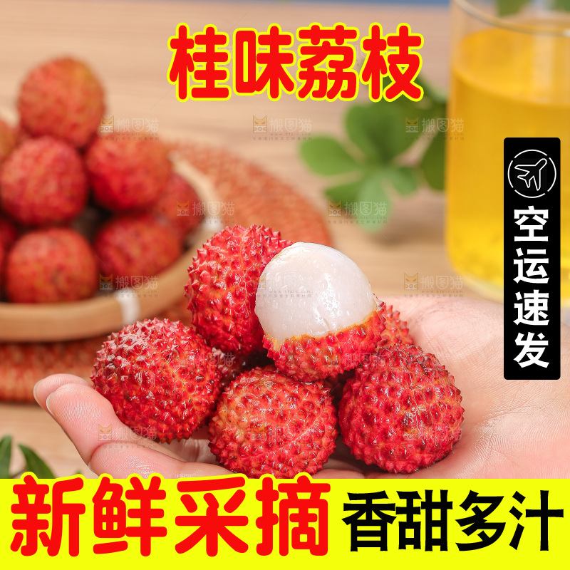 浅底上的桂味荔枝